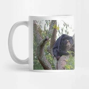 Andean Bear Mug